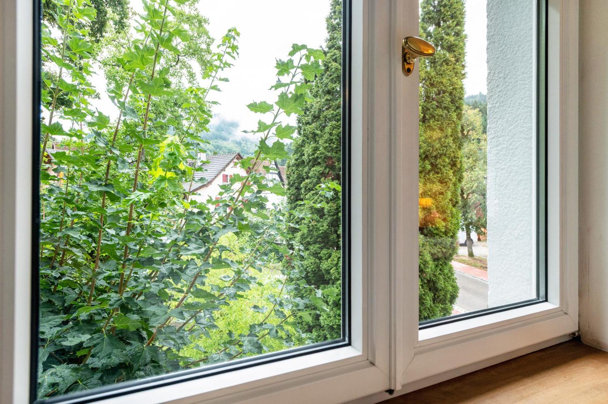 Appartement Waldhorn Badenweiler Luaran gambar